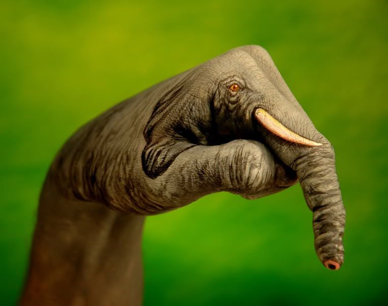 Elephant Body Painting In Hand Painting Tattoo