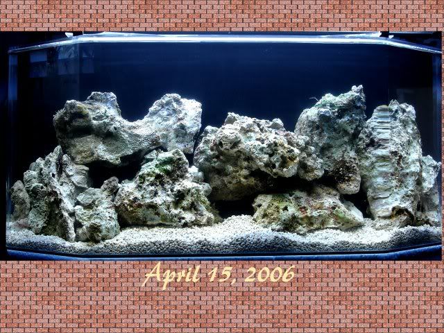 Aquarium20.jpg