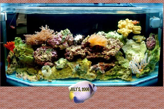 aquariumjuly.jpg