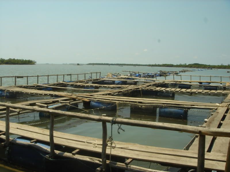 Long Sơn Bà Rịa-VT có ai biết?? - 1