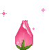 flor rosa coraçao
