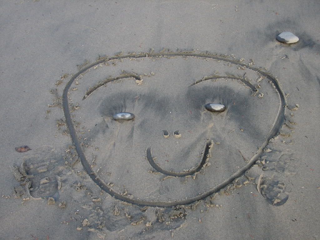 DSC03634.jpg A happy face we came across while walking on the beach image by sushat