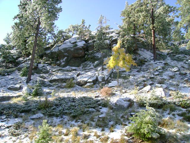 First snow in October 08