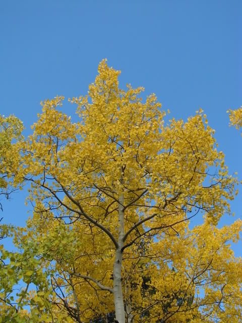Kenosha Pass Kenosha Pass