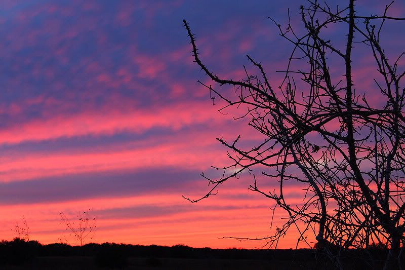 Sunset.jpg