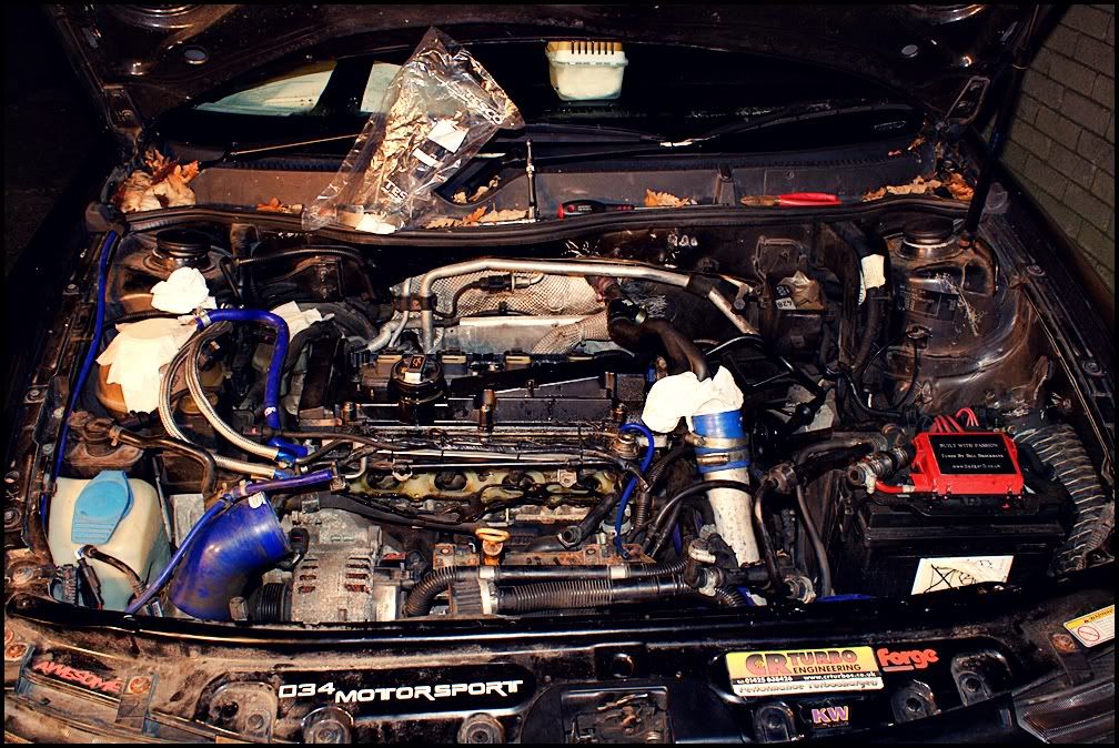 EngineBay4.jpg