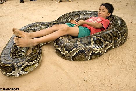 Python Lounge Pictures, Images and Photos