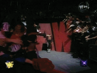 BretHartentrance.gif Bret Hart ENTRANCE image by bretkev