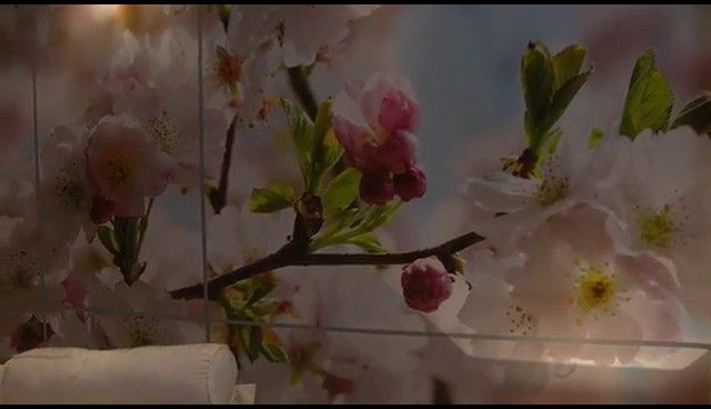  photo NDVD_205_zps95117626.jpg