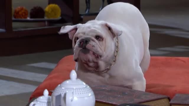  photo pqam00028_zps2c8156da.jpg