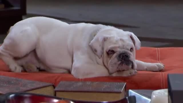  photo pqam00031_zpse037089e.jpg