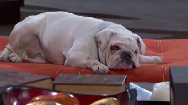  photo pqam00032_zps3203ffff.jpg