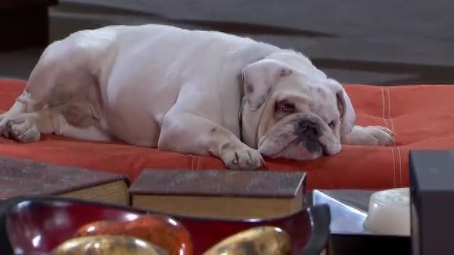  photo pqam00033_zpsc0d85be4.jpg