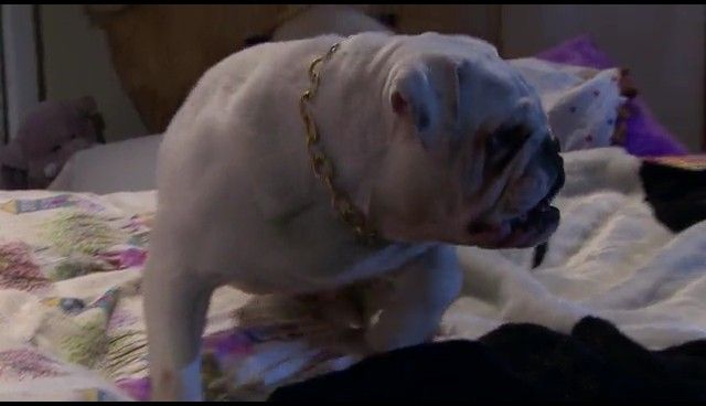  photo NDVD_161_zps29597aad.jpg