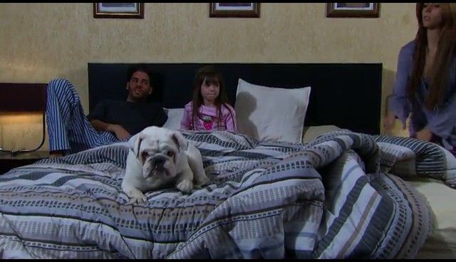  photo NDVD_195_zpse5819d0c.jpg