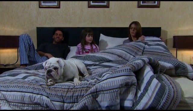  photo NDVD_196_zps77231836.jpg