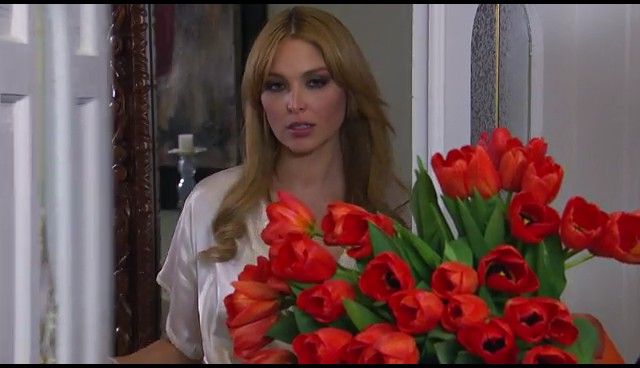  photo NDVD_207_zps1267ef05.jpg