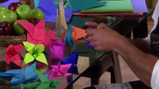  photo pqam00073_zps75eefea3.jpg