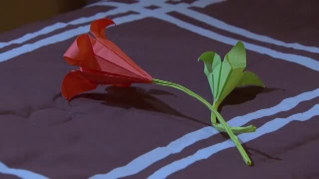  photo pqam00439_zpscbd59a4d.jpg