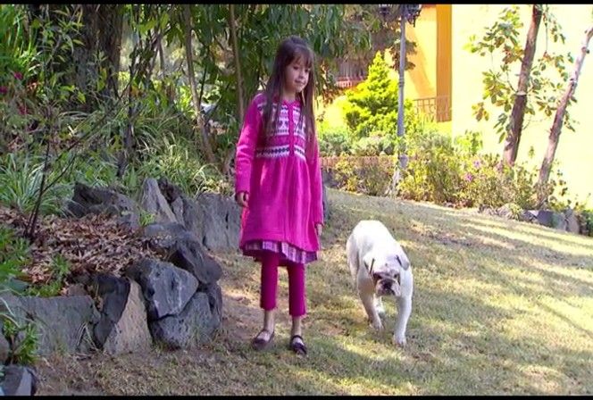  photo NDVD_376_zpscc417b14.jpg