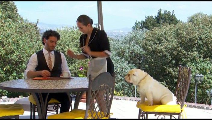 photo NDVD_054_zps1ff24205.jpg