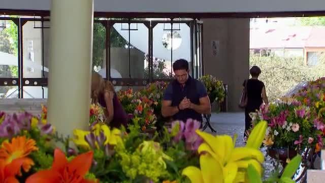  photo pqam00425_zpsdc1f0276.jpg