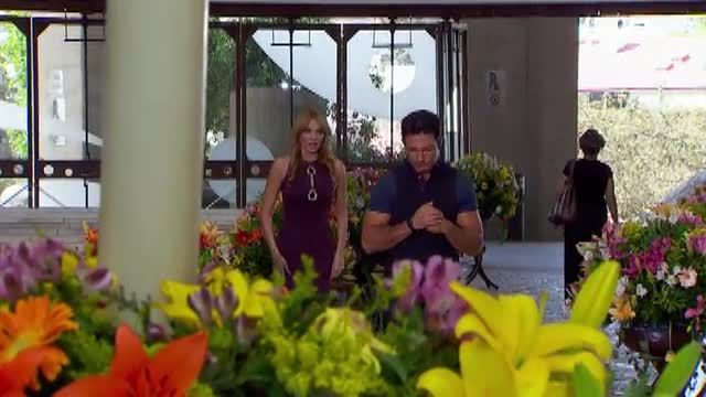  photo pqam00426_zpsd3edaec7.jpg