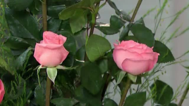  photo pqam00002_zpseb1aa425.jpg