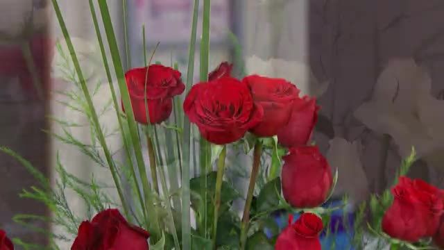  photo pqam00003_zpsa07301ff.jpg