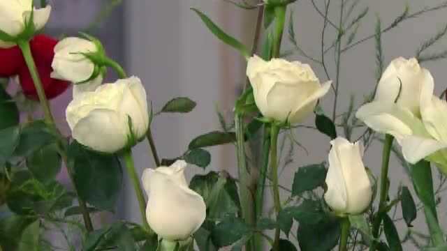  photo pqam00004_zpsfdad84c2.jpg