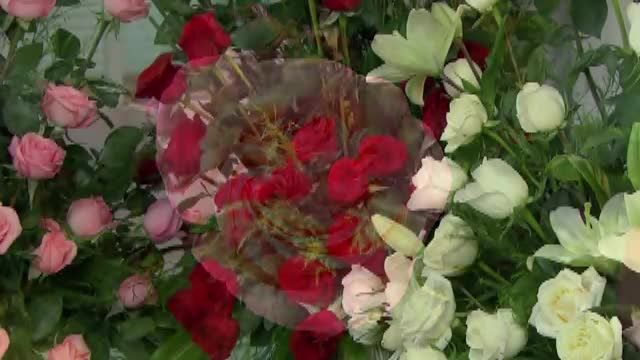  photo pqam00005_zps9c519a17.jpg