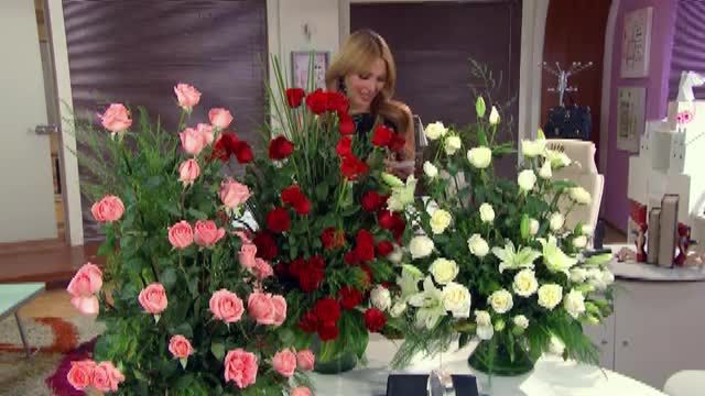  photo pqam00006_zps58a40112.jpg