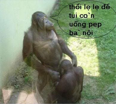 monkeyblowjob.jpg picture by vuhuynh89
