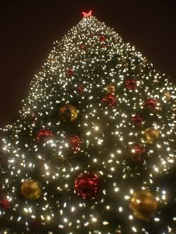 Christmas,tree,San Francisco