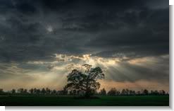 Before the Storm