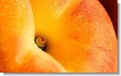 Fruit 01