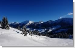 Alpine Sight wallpaper