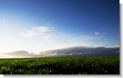 Green Fields of Sweden