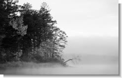 Harris Lake B&W