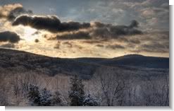 Winter Morning