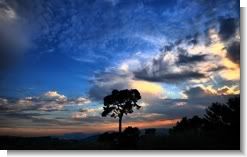 Dramatic Sky