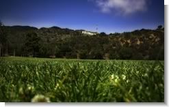 Green Hollywood