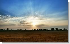 The Field II