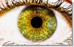The Eye