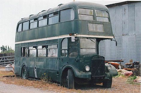 One Old Green Bus 