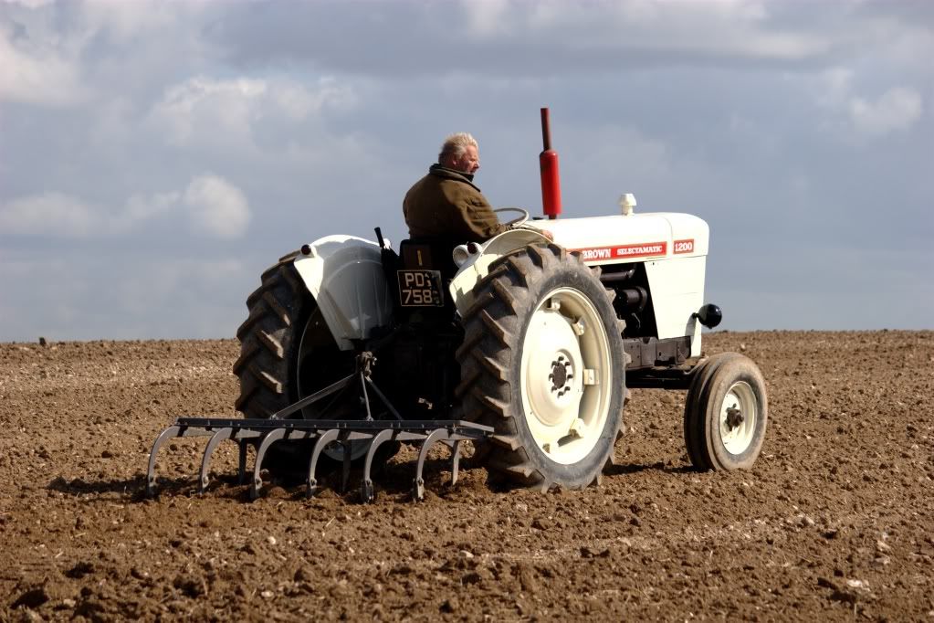 IMAGE: http://i253.photobucket.com/albums/hh73/Nevtiger/DavidBrowntractor.jpg