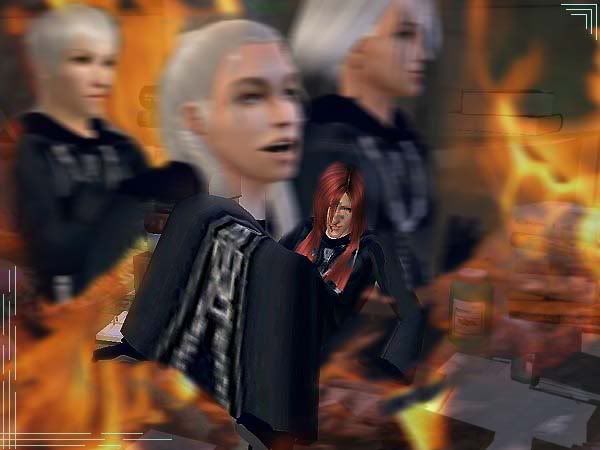 03.jpg