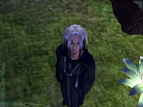 06.jpg