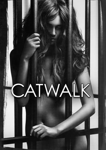 catwalkpost.jpg