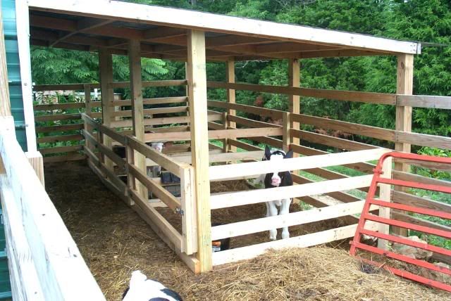  .com/t/233026/what-does-everyone-think-about-a-carport-coop/10